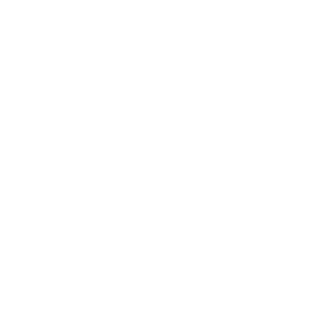 white full arch icon
