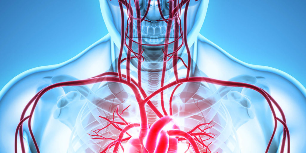 3d diagram displaying mouth and body health connection